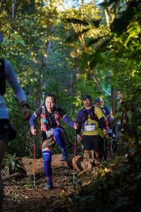 BIB: 
                            <button type="button" onclick="openModal(19242114)" class="btn btn-primary btn-sm float-right btn-popup" data-toggle="modal" data-target=".modal-high-quality">
                        <i class="fas fa-shopping-cart"></i> Add to Cart
                    </button>
                                            <button type="button" onclick="isThisMe(19242114, true)" class="btn btn-success btn-sm float-right btn-popup btn-isme hidden" data-toggle="tooltip" data-placement="bottom" title="นี่คือรูปของคุณใช่ไหม คลิกที่นี่เพื่อเอาเข้าอัลบั้ม">
                        <i class="fas fa-plus"></i> Add to album
                    </button>
                    <button type="button" onclick="isThisMe(19242114, false)" class="btn btn-warning btn-sm float-right btn-popup btn-isnotme hidden">
                        <i class="fas fa-ban"></i> Remove from album
                    </button>